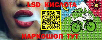 твердый Будённовск