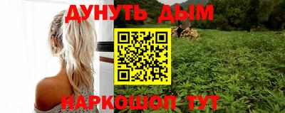 сатива Кулебаки