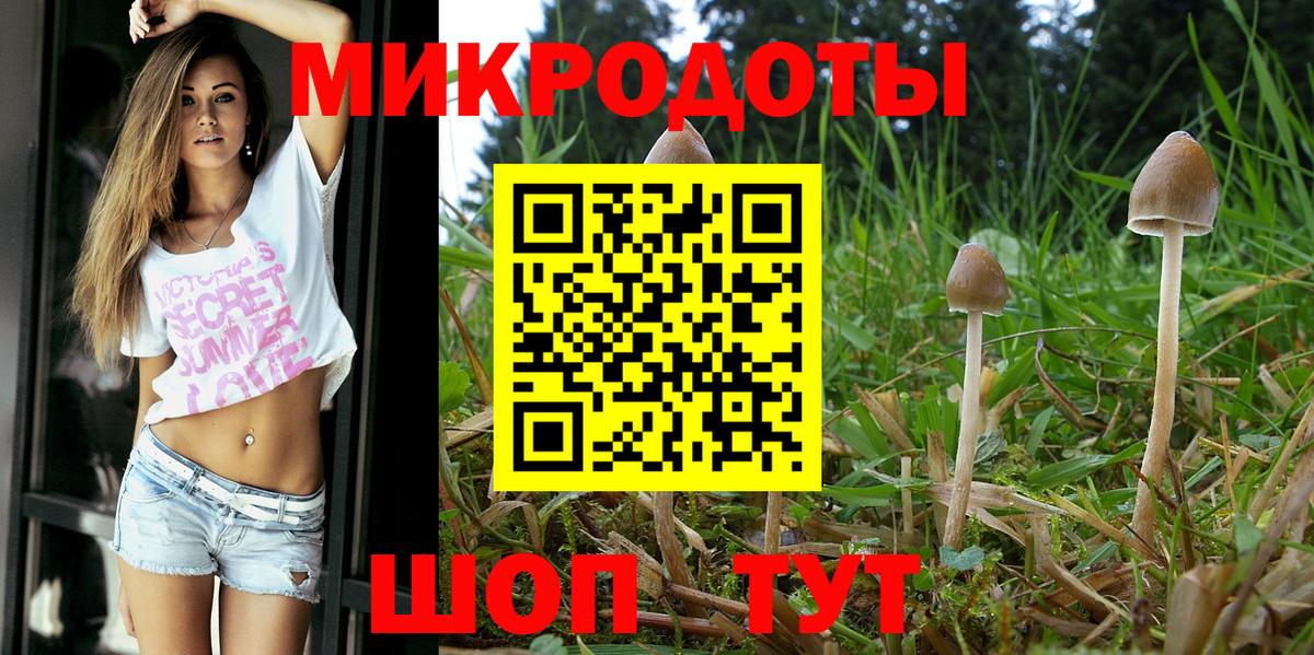 Псилоцибиновые грибы GOLDEN TEACHER Зима