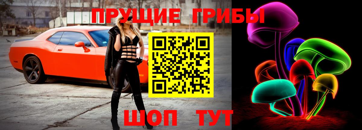 Галлюциногенные грибы Cubensis  Галлюциногенные грибы GOLDEN TEACHER  Вход с VPN  наркотики  Зима 